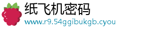 纸飞机密码